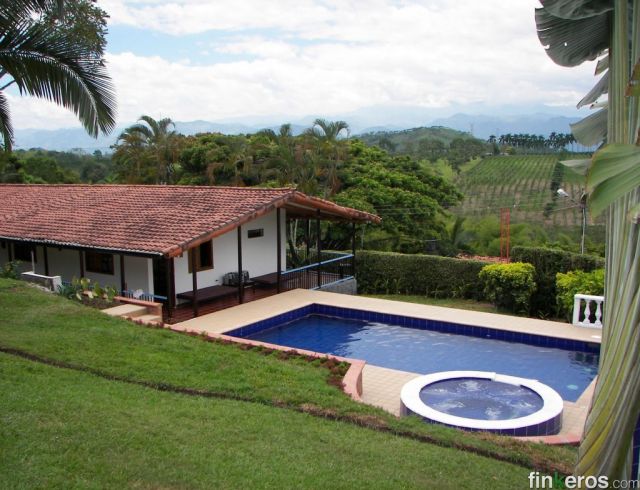 Fincas in het Eje Cafetero: de verschillen tussen Quindío, Risaralda en Caldas